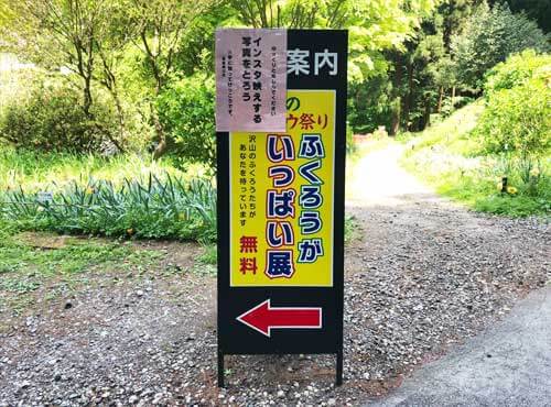 鷲子山上神社：ふくろうがいっぱい展看板